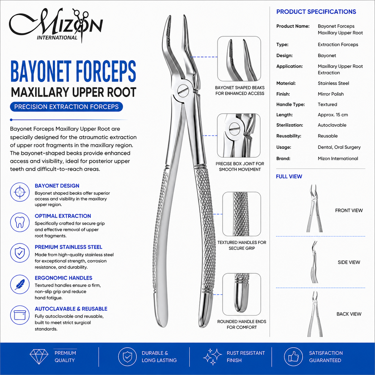 Bayonet Forceps Maxillary Upper Root | Stainless Steel Dental Extraction Forceps | Mizon International USA
