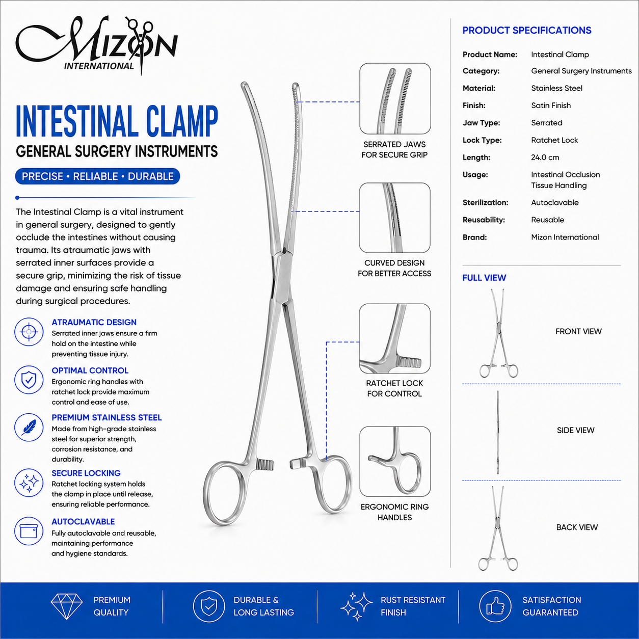 24 cm Curved Intestinal Clamp Stainless Steel Surgical Instrument with Ratchet Lock by Mizon International