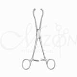 Veterinary Lip Retractor with Ratchet Stainless Steel Surgical Instrument by Mizon International
