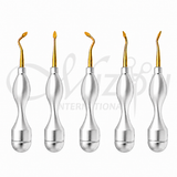 Mizon International Wise Bernard Spade Elevator Set 5-Piece featuring Premium Medical-Grade Surgical Stainless Steel Construction, Heavy-Duty Precision Spade Tips, Ergonomic Textured Non-Slip Handles, Satin Finish, Professional Dental Surgical Extraction Elevators for Tooth Luxation, Root Elevation, Oral Surgery, and Periodontal Procedures