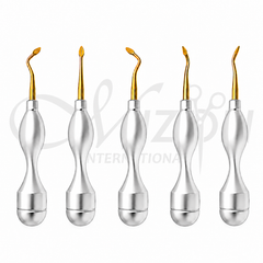 Wise Bernard Spade Elevator Set 5-Piece | Surgical Extraction Elevators | Mizon International