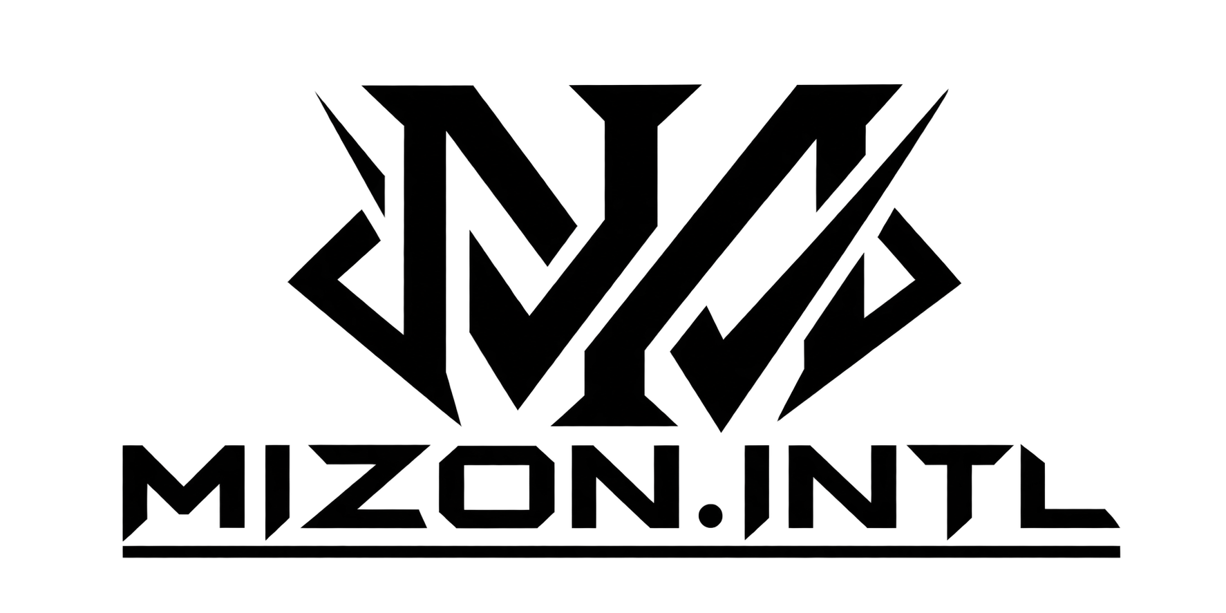 MIzon International